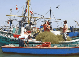 Gobierno Regional de Piura realizó taller sobre la Ley de pesca artesanal y ancestral