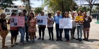 Protesta por envenenamiento de 27 gatos en el sector Las Mercedes