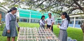 Estudiantes piuranas crean proyecto sostenible e innovador "Techo Tanque Ecológico"