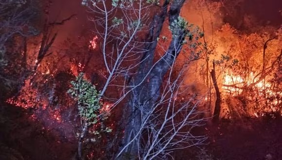Ayabaca: incendio forestal continúa consumiendo bosque de Aypate y pone en alerta a pobladores