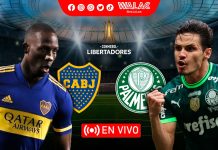 Fútbol Libre TV