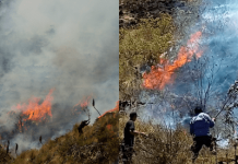 Ayabaca: incendio continúa en el bosque del cerro Aypate luego de tres días