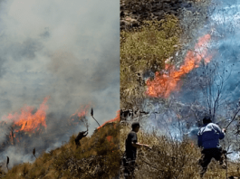 Ayabaca: incendio continúa en el bosque del cerro Aypate luego de tres días