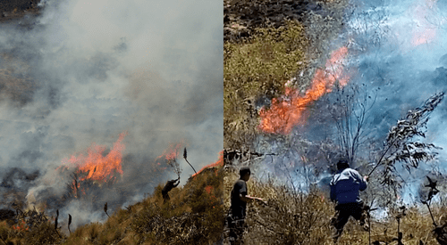 Ayabaca: incendio continúa en el bosque del cerro Aypate luego de tres días