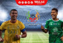 Fútbol Libre TV
