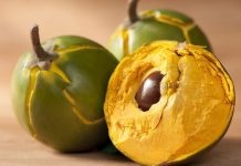 La lúcuma, considerada como una de las mejores frutas del mundo según el ranking elaborado por Taste Atlas.