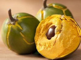 La lúcuma, considerada como una de las mejores frutas del mundo según el ranking elaborado por Taste Atlas.