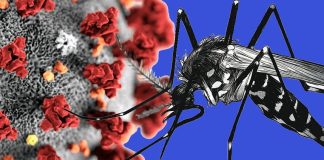 Piura: descienden los casos de dengue gracias a las bajas temperaturas