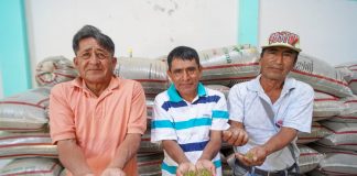 Sechura: agricultores logran histórico primer envío de frijol Loctao a Corea del Sur.