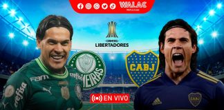 STAR PLUS Palmeiras vs Boca Juniors EN VIVO