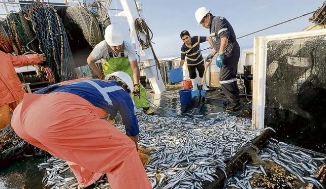 Pescadores en alerta ante llegada inminente de onda Kelvin