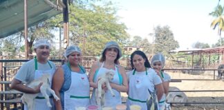 Piura: por primera vez presentarán helados de leche de cabra en Feria Regional Caprina