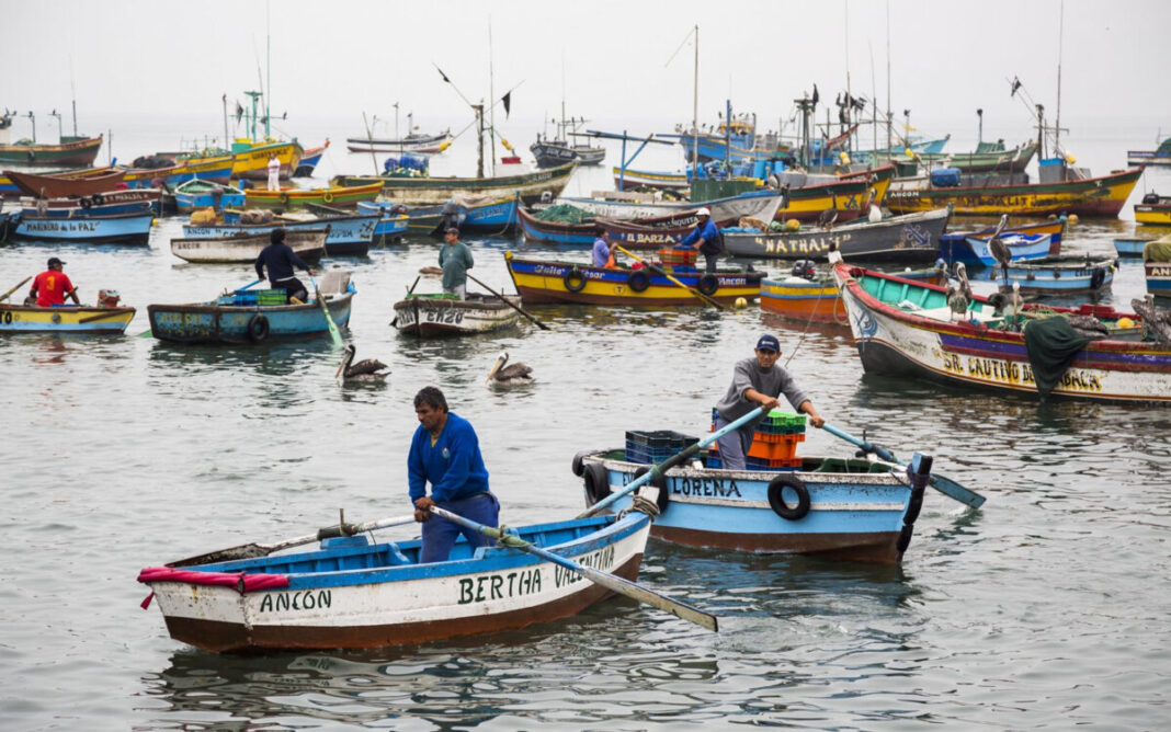 Gobierno aprueba nuevo bono del pescador de 700 soles.