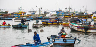 Gobierno aprueba nuevo bono del pescador de 700 soles.