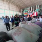 Exportación de frejol lactato dejará S/1.5 millones a agricultores sechuranos
