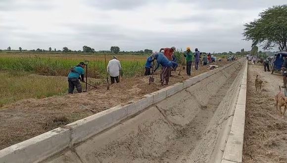 Agricultores descolmatan más de 5 km de canales en el Bajo Piura