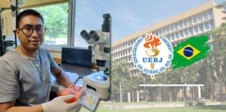 Egresado de la UNP realizará Doctorado en una universidad de Brasil