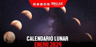 Calendario lunar enero 2024 estas son las fechas de las próximas fases lunares