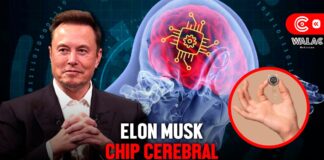Elon Musk implanta chip cerebral ¿más cerca de la Telepatía