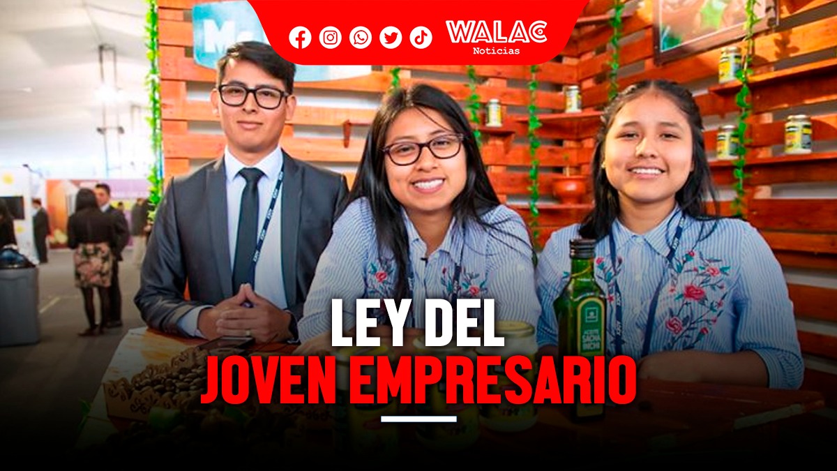 Ley del joven empresario 2024 ¿de qué trata la nueva norma que entró en vigencia