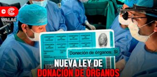Nueva ley de donación de órganos: ¿desde cuándo estará vigente?