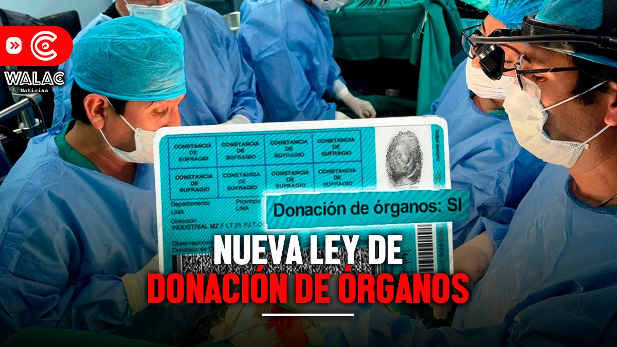 Nueva ley de donación de órganos: ¿desde cuándo estará vigente?