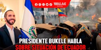 Nayib Bukele habla sobre situación de Ecuador: ¿qué dijo?