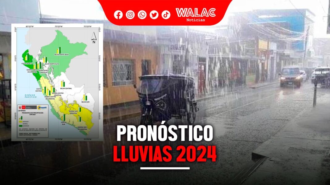 Lluvias En Mexico 2025 - Harry Hill