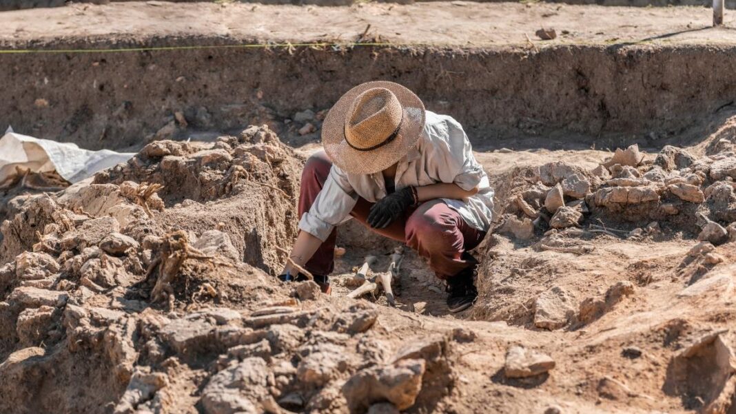 Sueldo de un antropólogo en Perú: ¿a qué se dedican?