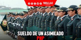 Sueldo de un asimilado a la Policía Nacional del Perú ¿cuánto se gana y que requisitos se necesitan para ser uno