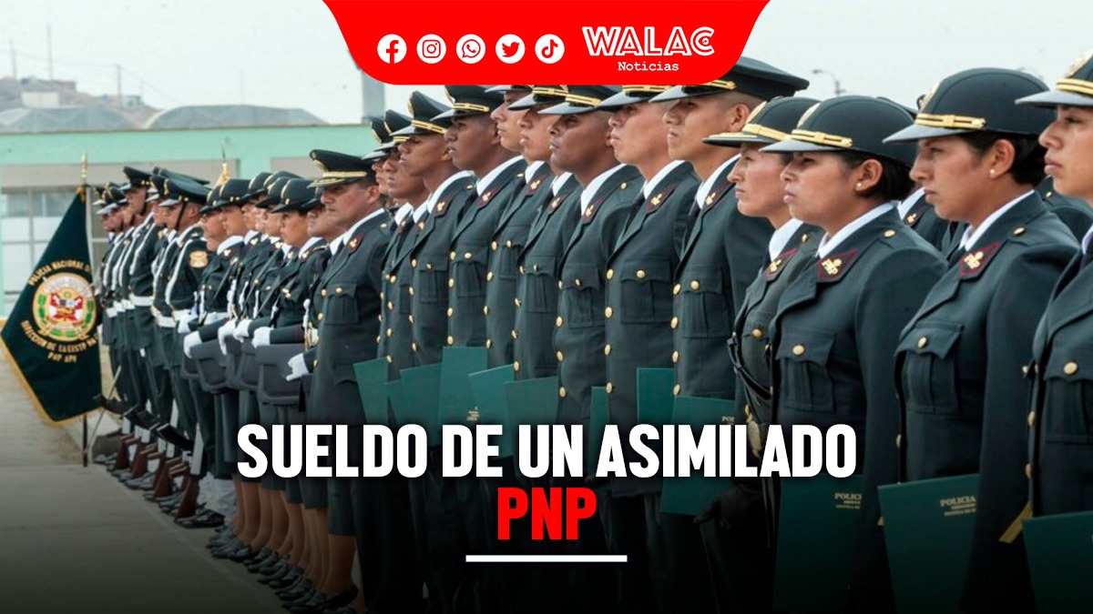 Sueldo de un asimilado a la Policía Nacional del Perú ¿cuánto se gana y que requisitos se necesitan para ser uno