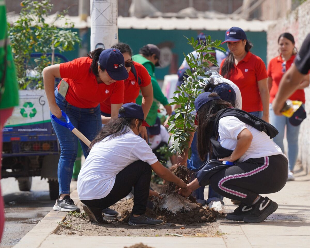 UCV ocupa el puesto 4 en sostenibilidad ambiental.