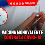 Vacuna monovalente Perú: ¿qué es y desde cuándo se aplicará?