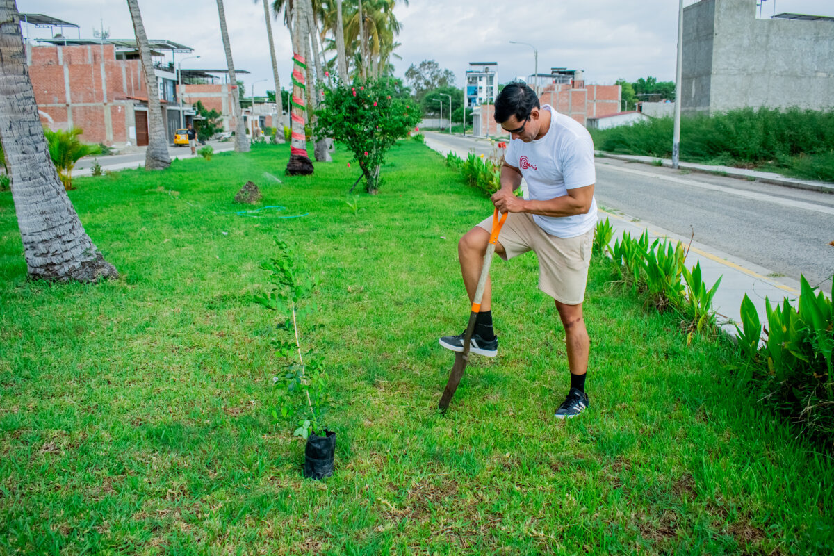 Descubre la historia de Guillermo Martínez, el joven piurano que ha plantado más de 4000 árboles. 