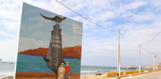 Plan Copesco Nacional inicia expediente técnico para mejoras turísticas de Playa Cabo Blanco.