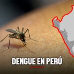 Dengue en Perú estas son las regiones y ciudades con alto riesgo de contagio