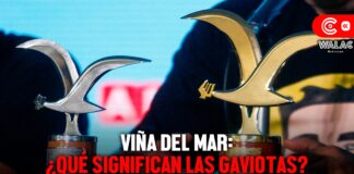 Gaviotas Viña del Mar ¿qué significan los premios de oro, plata y platino
