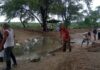 Más de 200 familias viven expuestas a las aguas servidas en el A.H. Túpac Amaru III