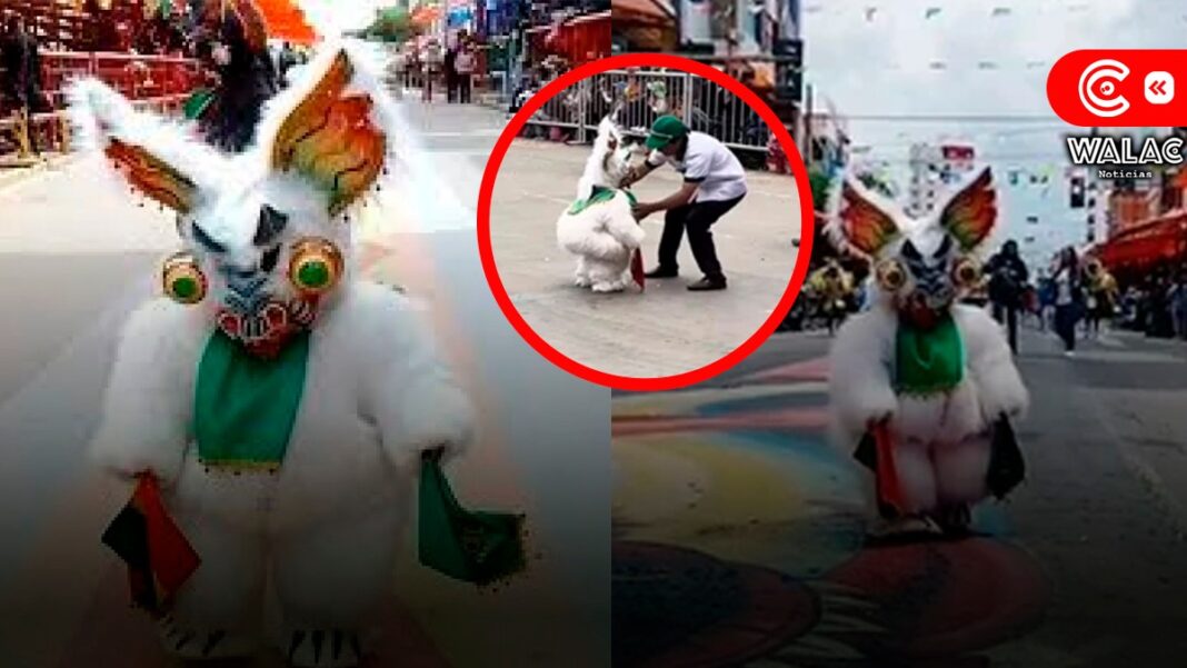 Osito enojado en el Carnaval del Oruro cautivó las redes sociales