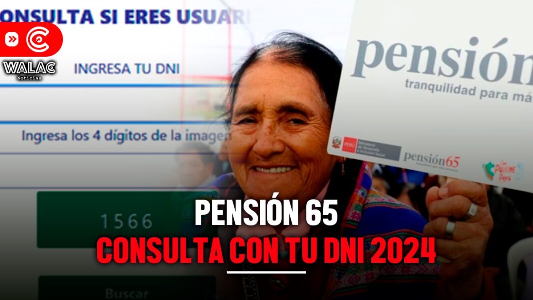 Pensión 65 consulta con DNI 2024