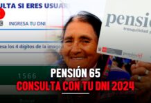 Pensión 65 consulta con DNI 2024