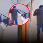 Policía de la Dinoes mata a un gato luego de empujarlo desde un quinto piso