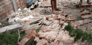 Talara: Joven obrero fallece luego de ser aplastado por una pared