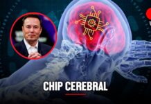 Chip cerebral Neuralink: Elon Musk aseguró que paciente puede controlar el mouse con la mente