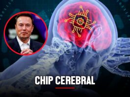Chip cerebral Neuralink: Elon Musk aseguró que paciente puede controlar el mouse con la mente