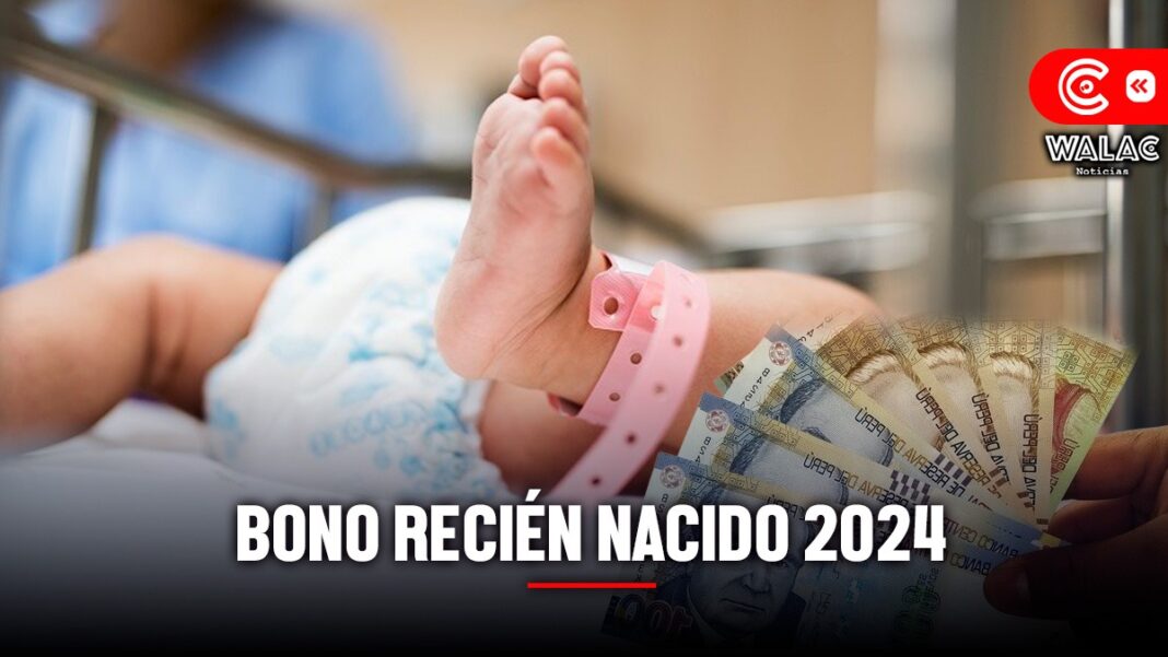 Bono Recién Nacido 2024: LINK de consulta con DNI