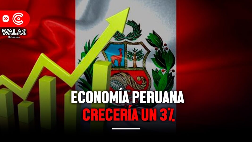 Economía peruana crecería un 3% este año, según el BCR
