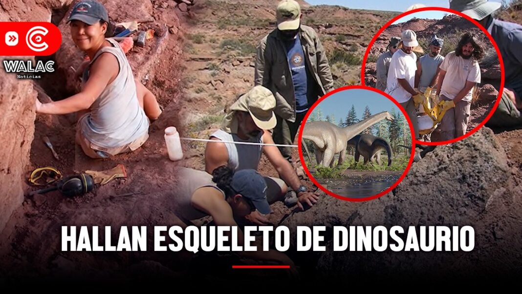 Encuentran esqueleto de dinosaurio gigante de hace 70 millones de años en Francia