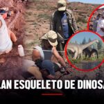 Encuentran esqueleto de dinosaurio gigante de hace 70 millones de años en Francia