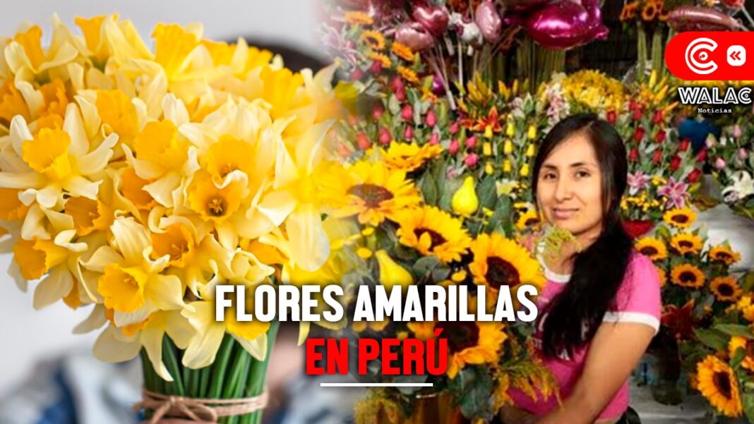 ¿Qué día se regalan flores amarillas en Perú?